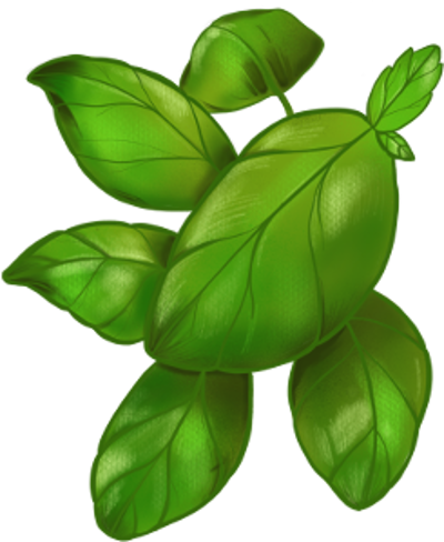 Basilico Basilico