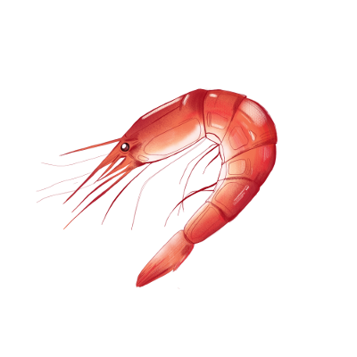 Gambero Rosso Gambero Rosso